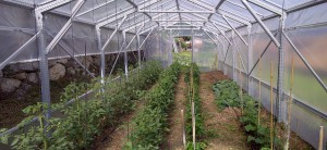 Ein blick in eine "mitwachsendes" modulares Gewächshaus